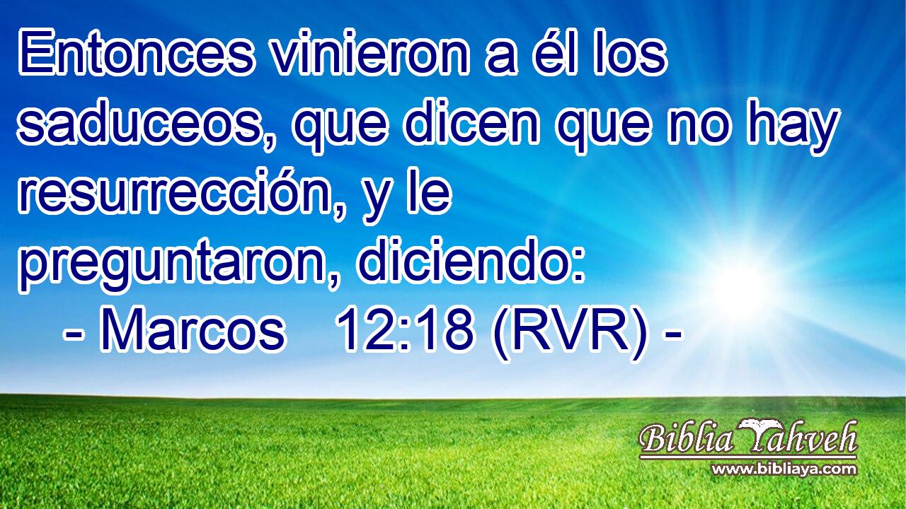 Entonces vinieron a él los saduceos, que dicen que no hay resurrección, y le preguntaron, diciendo: