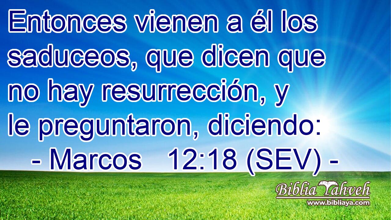 Entonces vienen a él los saduceos, que dicen que no hay resurrección, y le preguntaron, diciendo: