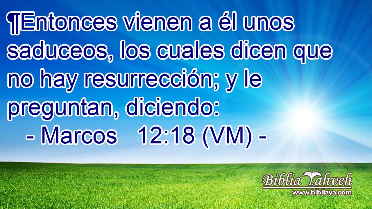  ¶Entonces vienen a él unos saduceos, los cuales dicen que no hay resurrección; y le preguntan, diciendo: 