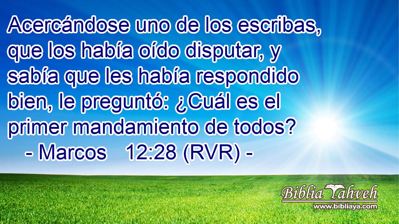 Acercándose uno de los escribas, que los había oído disputar, y sabía que les había respondido bien, le preguntó: ¿Cuál es el primer mandamiento de todos?