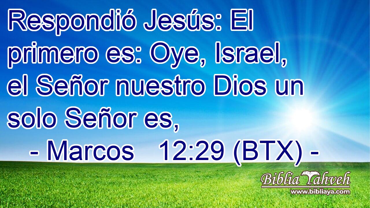 Respondió Jesús: El primero es: Oye, Israel, el Señor nuestro Dios un solo Señor es,