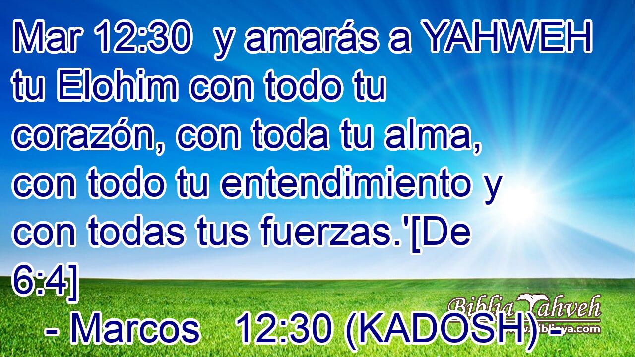  y amarás a YAHWEH tu Elohim con todo tu corazón, con toda tu alma, con todo tu entendimiento y con todas tus fuerzas.'[De 6:4] 