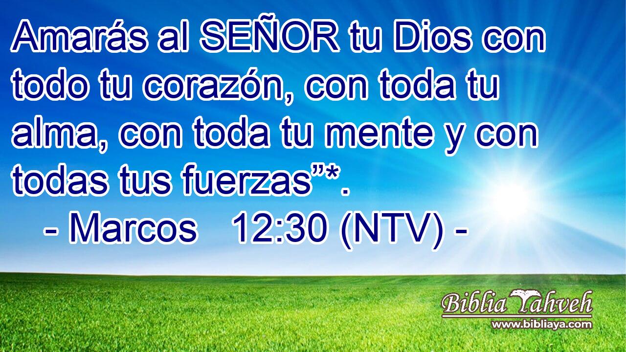 Amarás al SEÑOR tu Dios con todo tu corazón, con toda tu alma, con toda tu mente y con todas tus fuerzas”*.