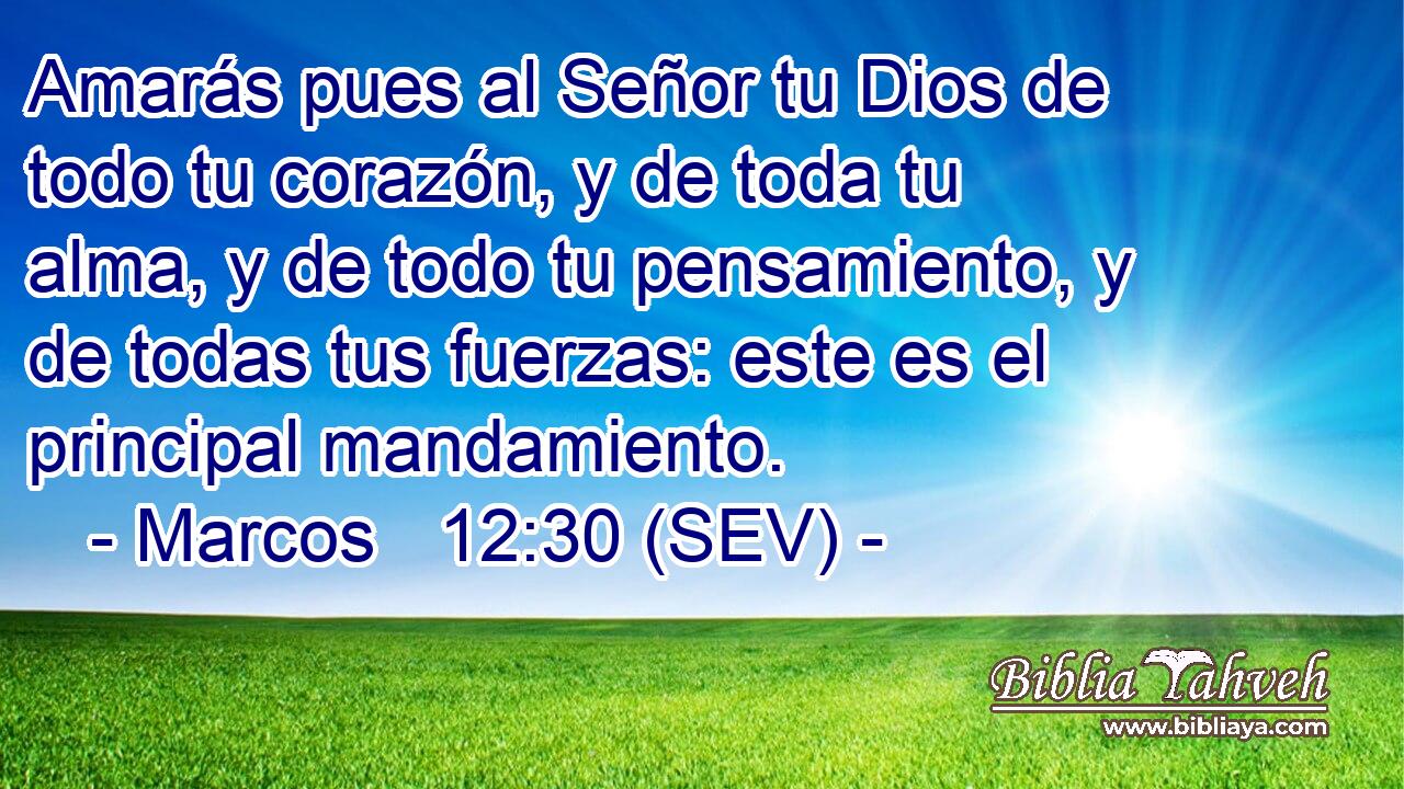 Amarás pues al Señor tu Dios de todo tu corazón, y de toda tu alma, y de todo tu pensamiento, y de todas tus fuerzas: este es el principal mandamiento.