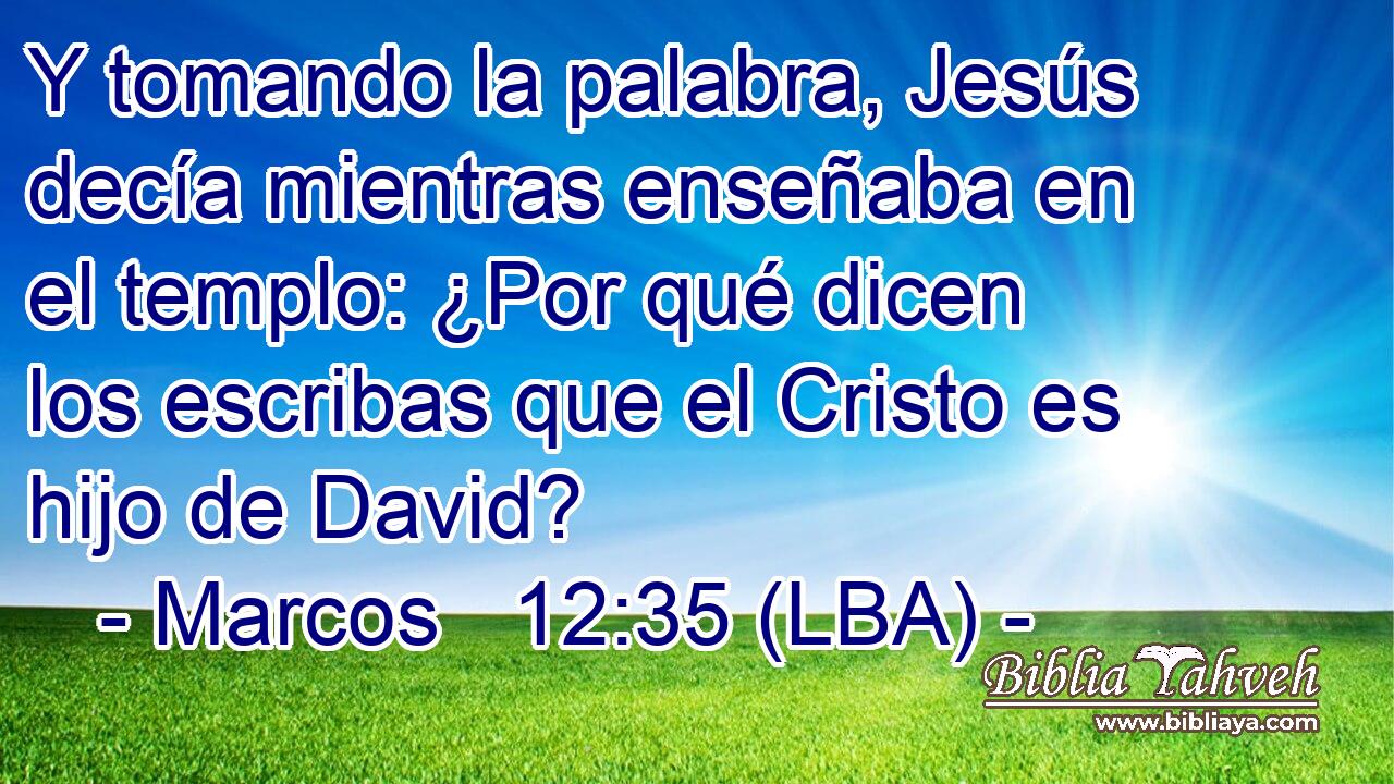 Y tomando la palabra, Jesús decía mientras enseñaba en el templo: ¿Por qué dicen los escribas que el Cristo es hijo de David?