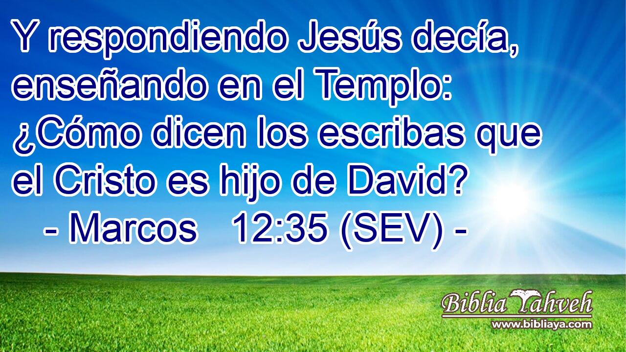 Y respondiendo Jesús decía, enseñando en el Templo: ¿Cómo dicen los escribas que el Cristo es hijo de David?