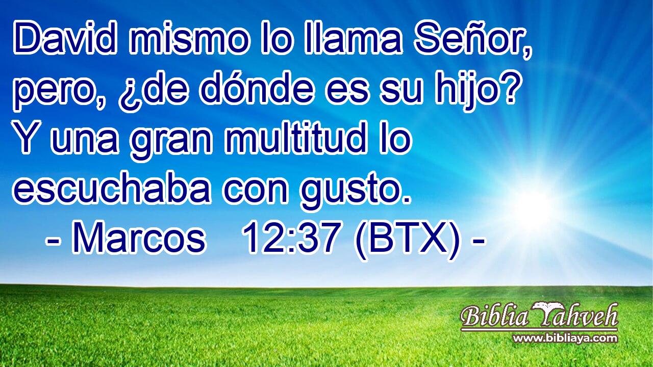 David mismo lo llama Señor, pero, ¿de dónde es su hijo? Y una gran multitud lo escuchaba con gusto.
