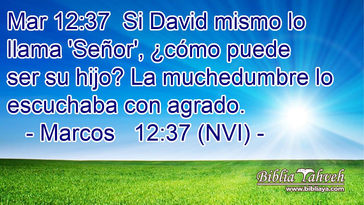 Mar 12:37  Si David mismo lo llama 'Señor', ¿cómo puede ser su hijo? La muchedumbre lo escuchaba con agrado. 