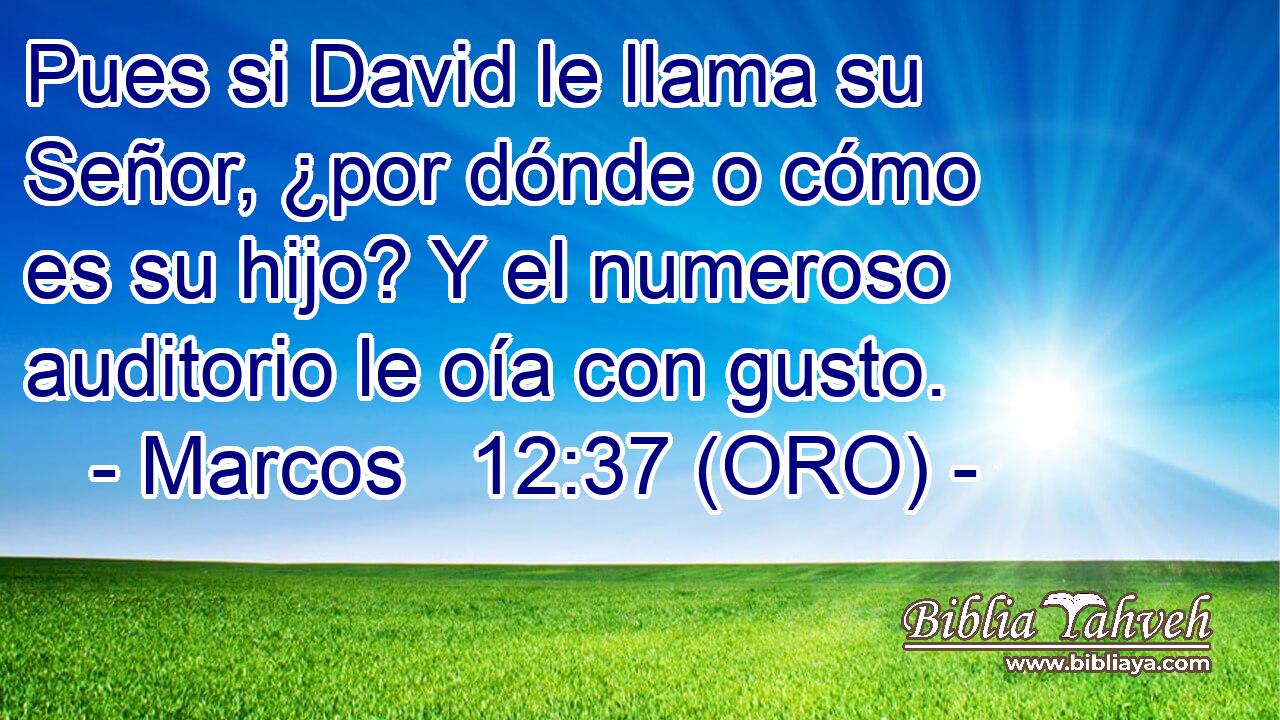  Pues si David le llama su Señor, ¿por dónde o cómo es su hijo? Y el numeroso auditorio le oía con gusto. 