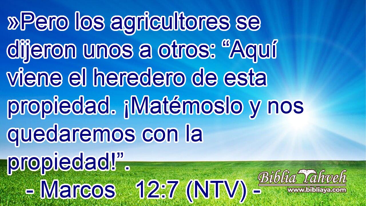 »Pero los agricultores se dijeron unos a otros: “Aquí viene el heredero de esta propiedad. ¡Matémoslo y nos quedaremos con la propiedad!”.