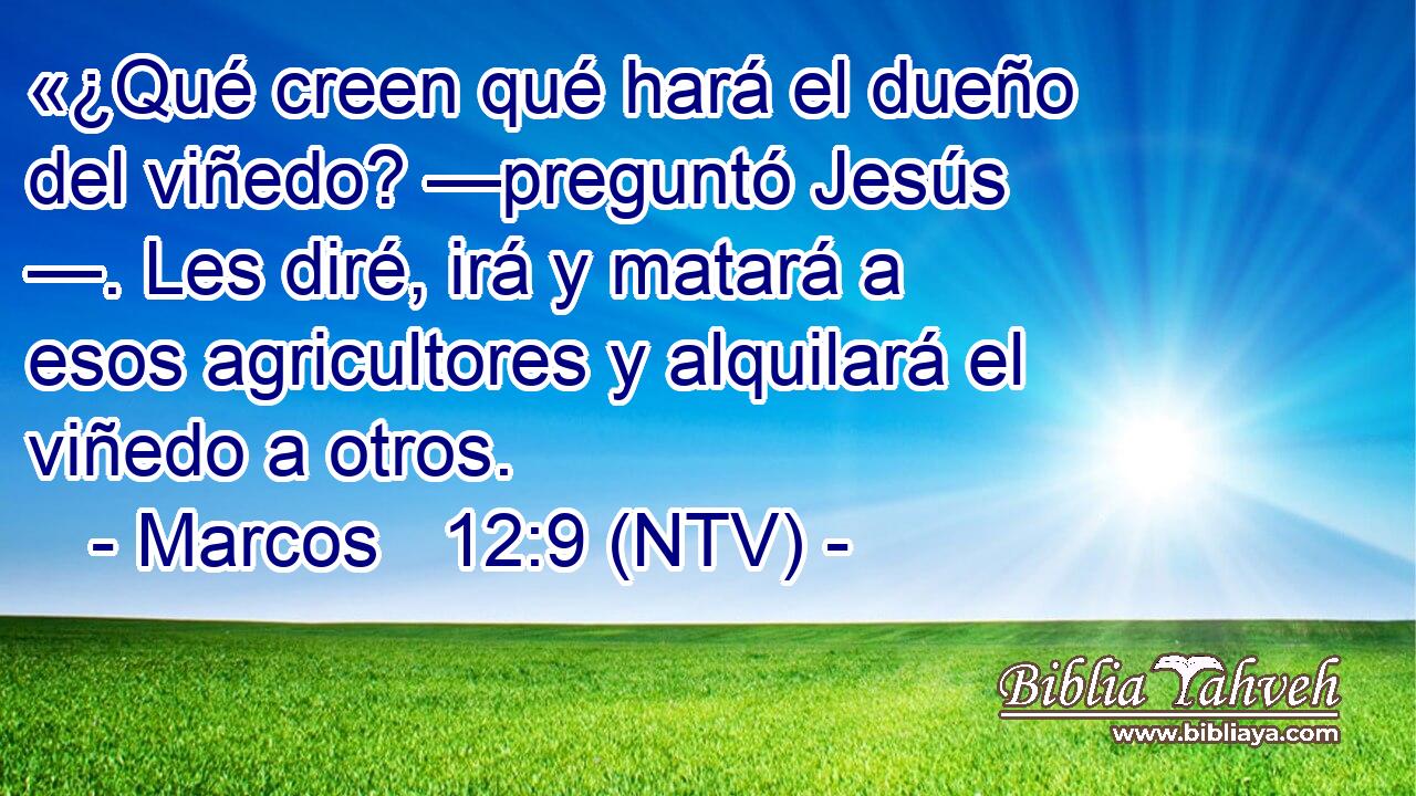 «¿Qué creen qué hará el dueño del viñedo? —preguntó Jesús —. Les diré, irá y matará a esos agricultores y alquilará el viñedo a otros.