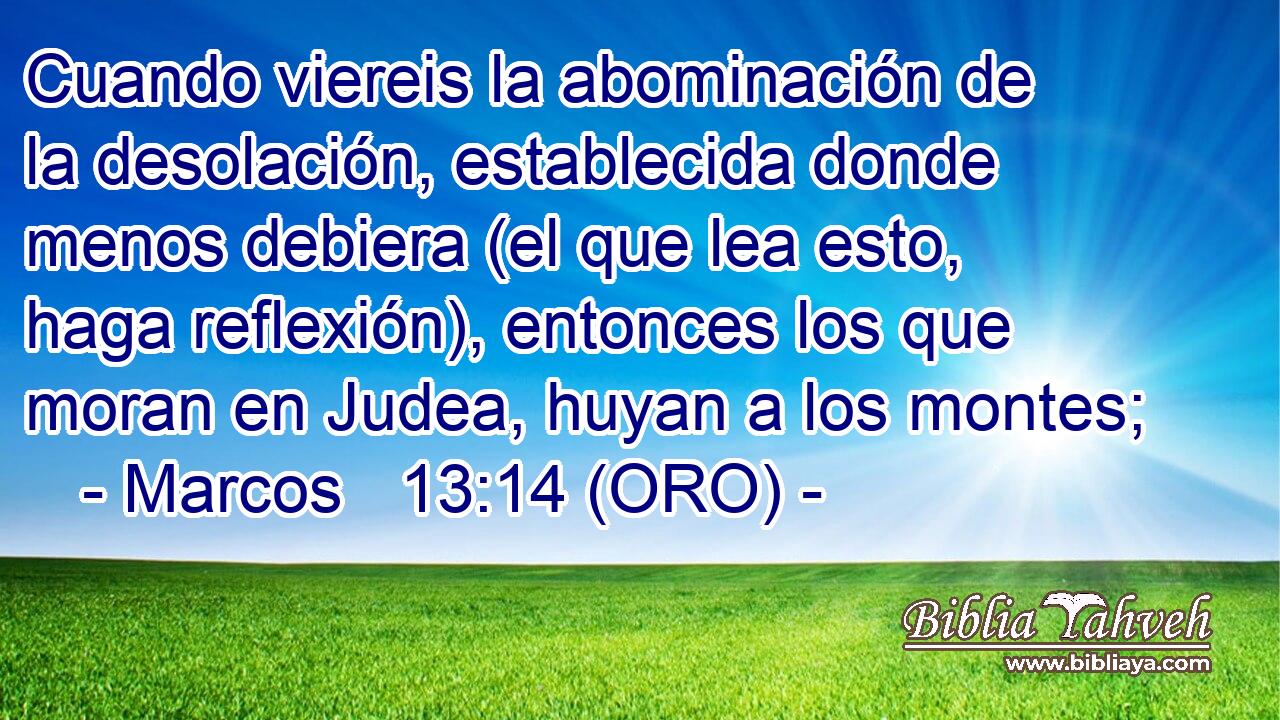  Cuando viereis la abominación de la desolación, establecida donde menos debiera (el que lea esto, haga reflexión), entonces los que moran en Judea, huyan a los montes; 