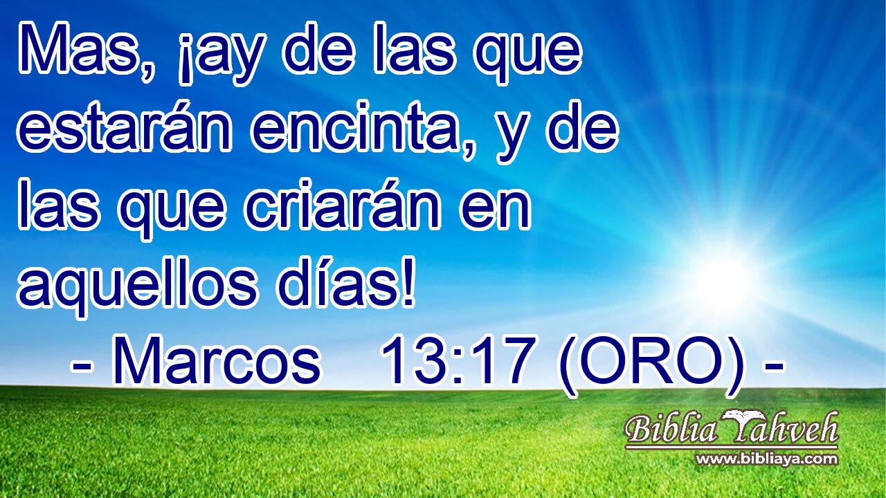  Mas, ¡ay de las que estarán encinta, y de las que criarán en aquellos días! 