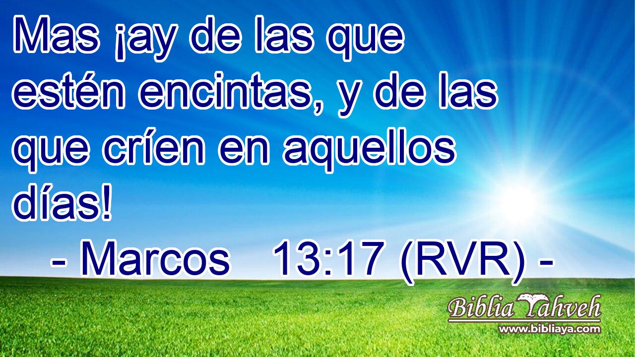 Mas ¡ay de las que estén encintas, y de las que críen en aquellos días!