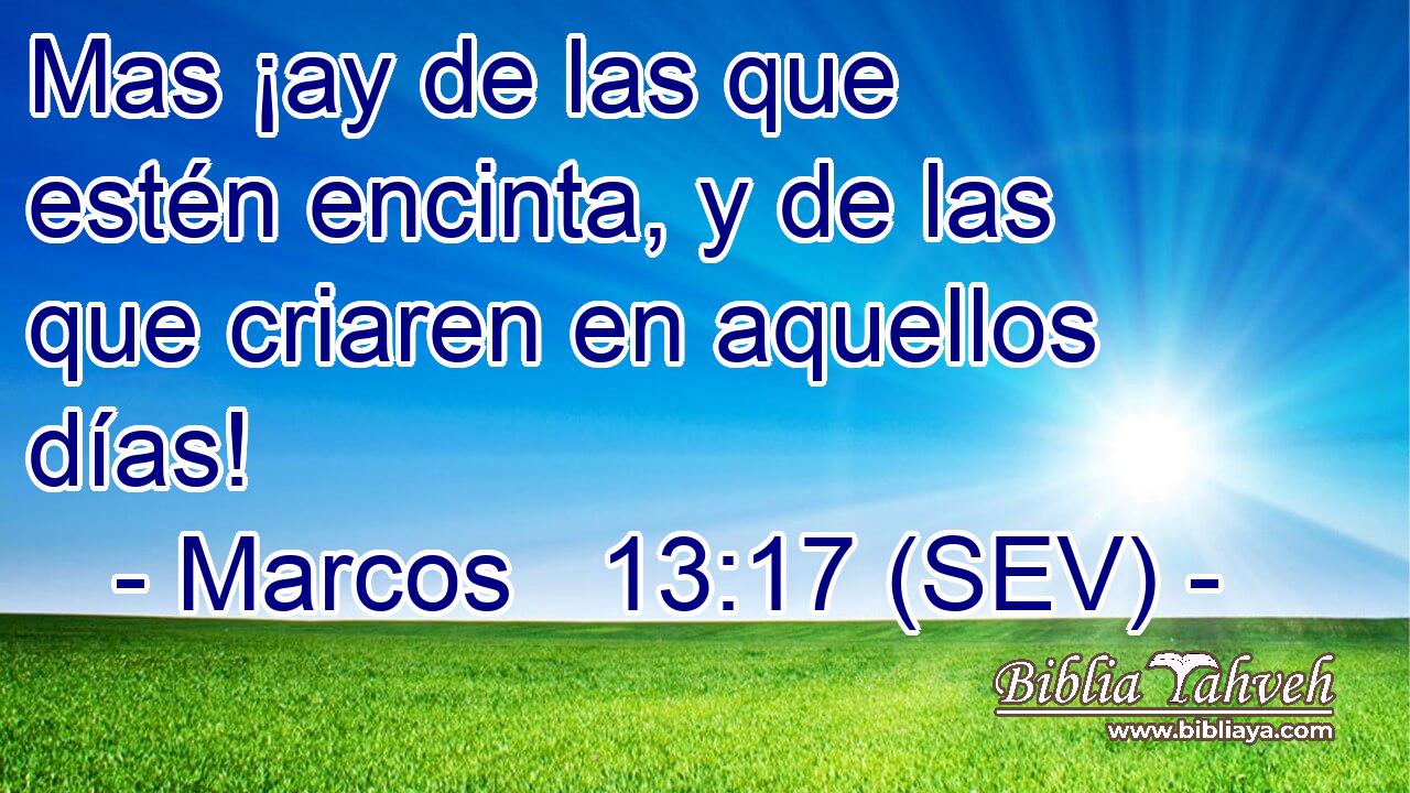 Mas ¡ay de las que estén encinta, y de las que criaren en aquellos días!
