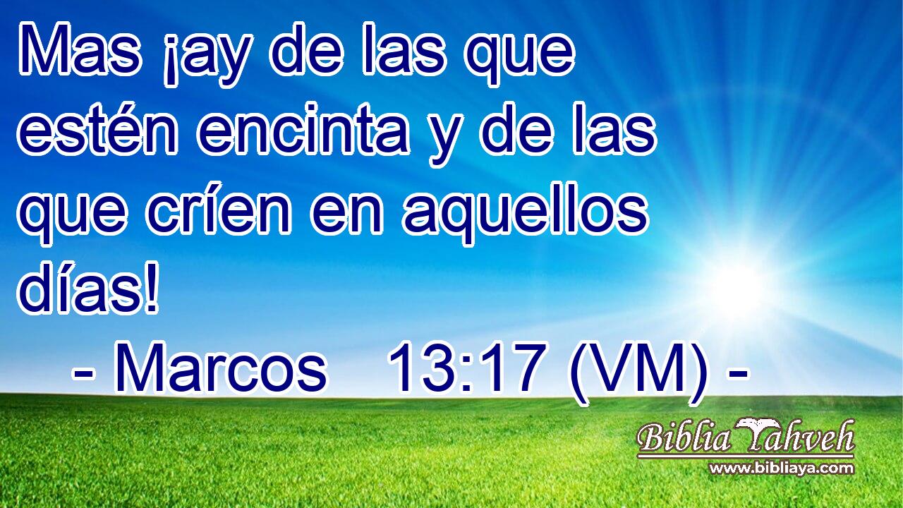  Mas ¡ay de las que estén encinta y de las que críen en aquellos días! 
