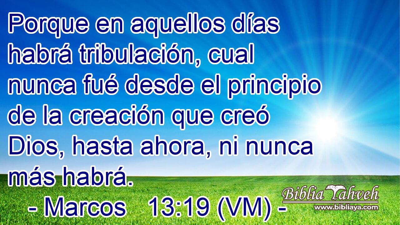  Porque en aquellos días habrá tribulación, cual nunca fué desde el principio de la creación que creó Dios, hasta ahora, ni nunca más habrá. 