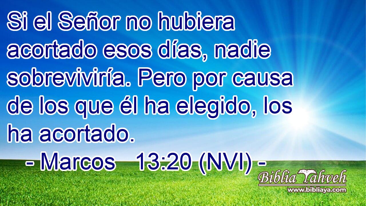  Si el Señor no hubiera acortado esos días, nadie sobreviviría. Pero por causa de los que él ha elegido, los ha acortado. 