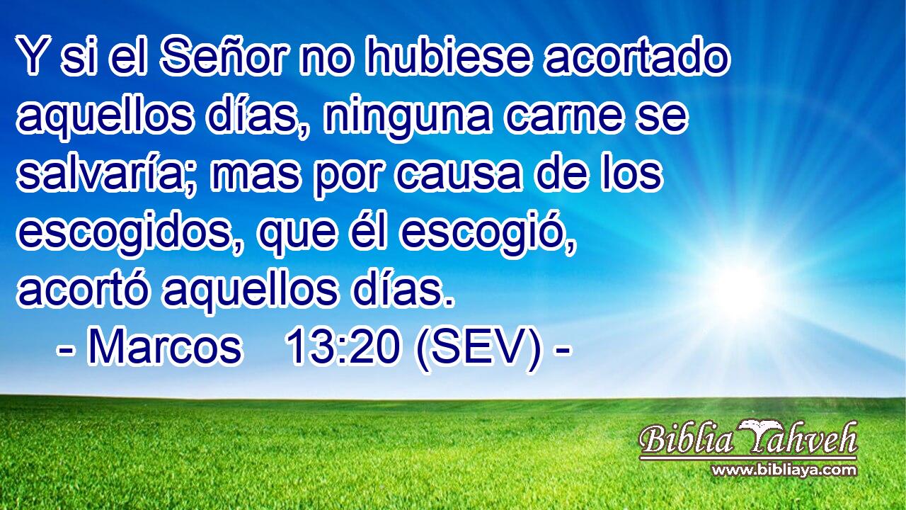 Y si el Señor no hubiese acortado aquellos días, ninguna carne se salvaría; mas por causa de los escogidos, que él escogió, acortó aquellos días.
