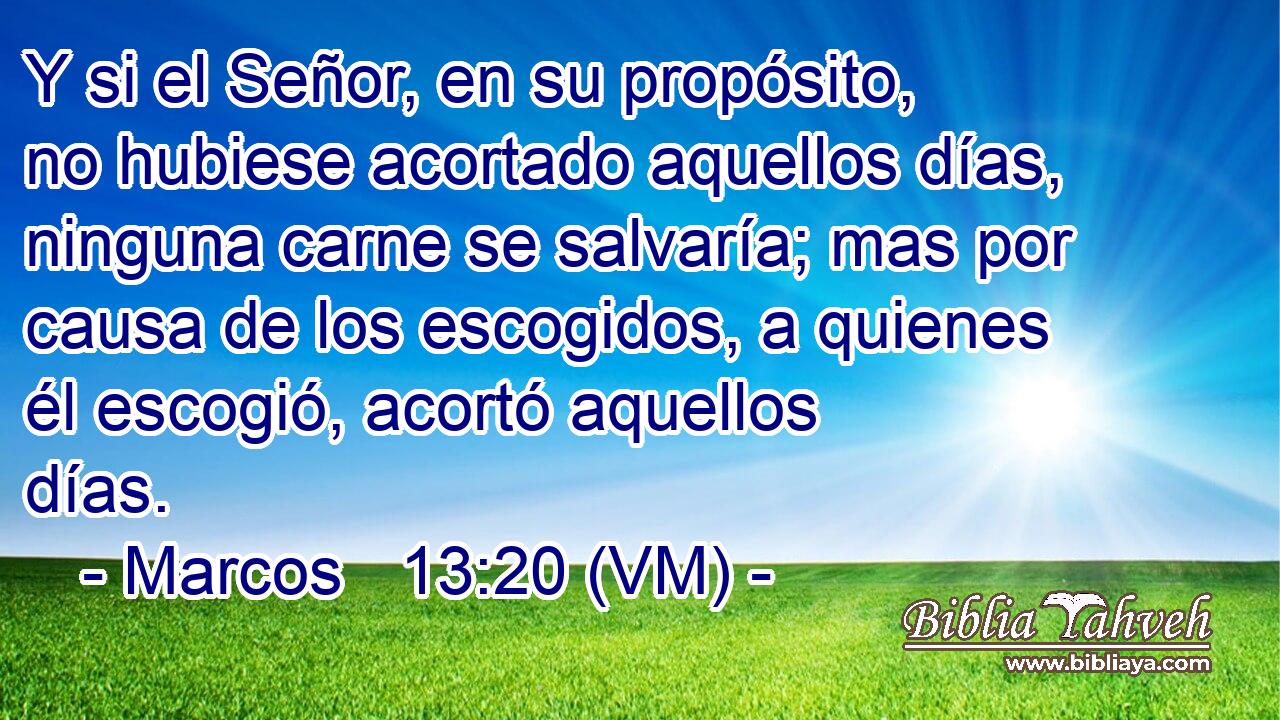  Y si el Señor, en su propósito, no hubiese acortado aquellos días, ninguna carne se salvaría; mas por causa de los escogidos, a quienes él escogió, acortó aquellos días. 