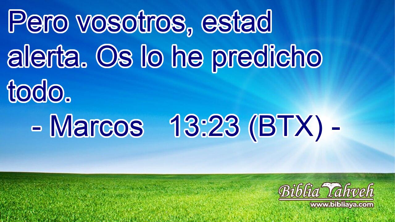 Pero vosotros, estad alerta. Os lo he predicho todo.