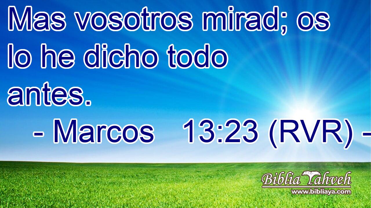 Mas vosotros mirad; os lo he dicho todo antes.