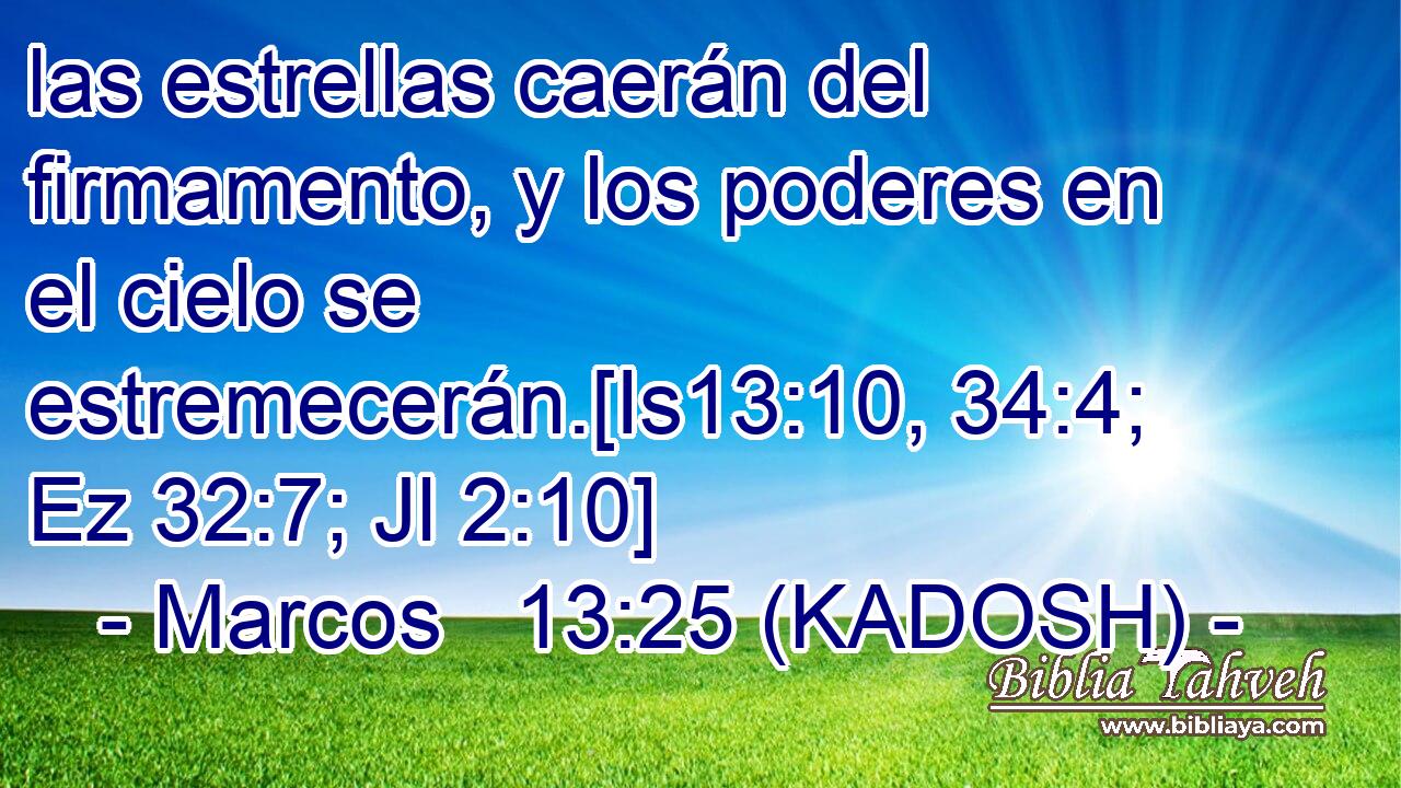  las estrellas caerán del firmamento, y los poderes en el cielo se estremecerán.[Is13:10, 34:4; Ez 32:7; Jl 2:10] 
