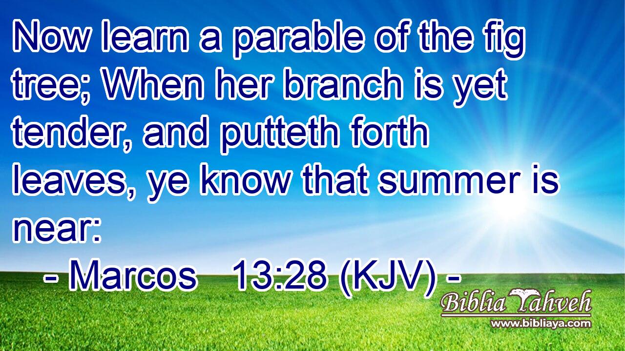 Now learn a parable of the fig tree; When her branch is yet tender, and putteth forth leaves, ye know that summer is near: