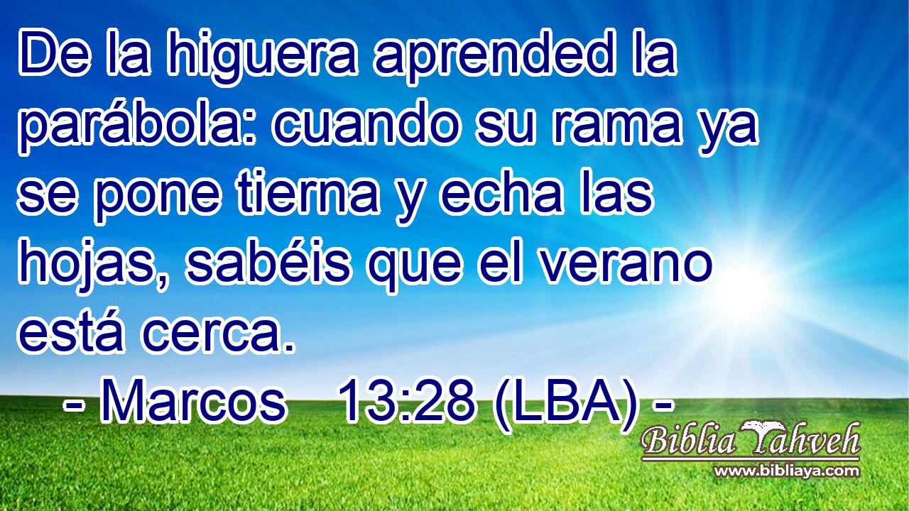 De la higuera aprended la parábola: cuando su rama ya se pone tierna y echa las hojas, sabéis que el verano está cerca.
