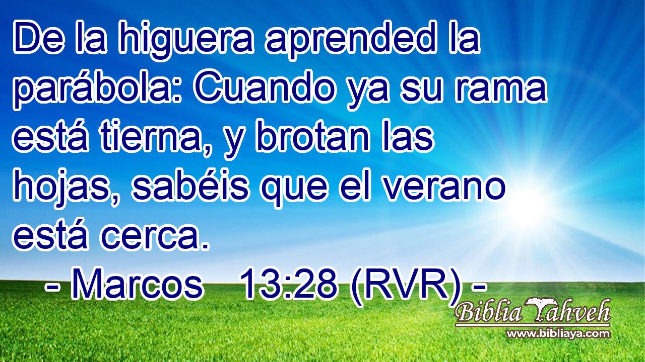 De la higuera aprended la parábola: Cuando ya su rama está tierna, y brotan las hojas, sabéis que el verano está cerca.
