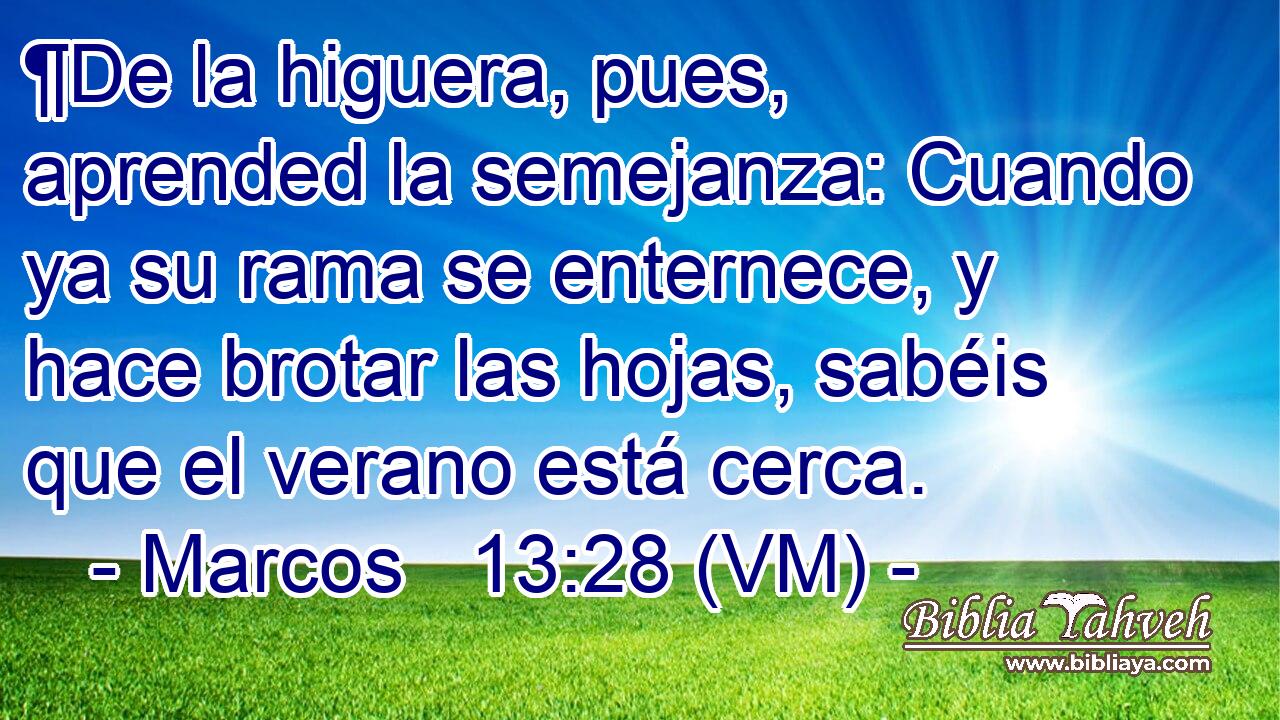  ¶De la higuera, pues, aprended la semejanza: Cuando ya su rama se enternece, y hace brotar las hojas, sabéis que el verano está cerca. 