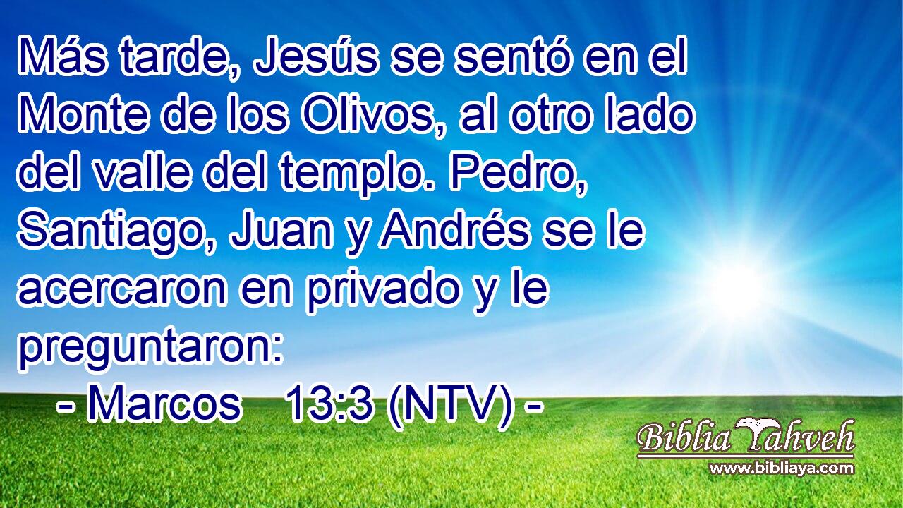 Más tarde, Jesús se sentó en el Monte de los Olivos, al otro lado del valle del templo. Pedro, Santiago, Juan y Andrés se le acercaron en privado y le preguntaron: