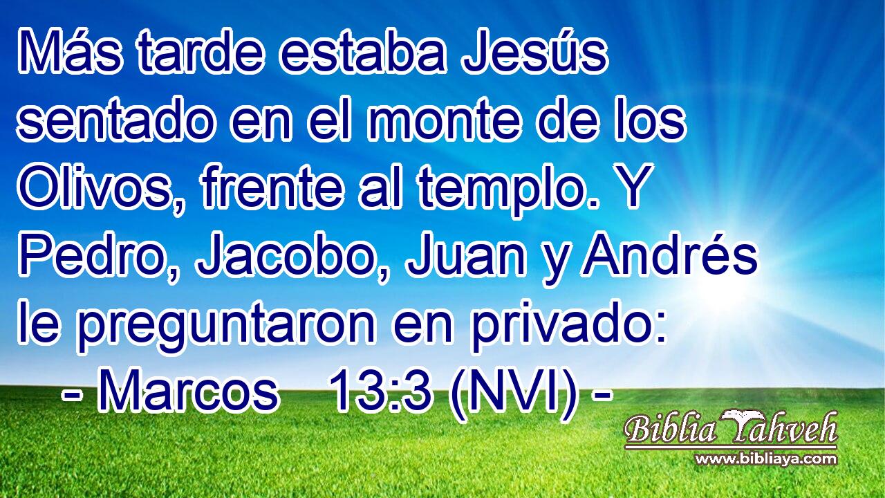  Más tarde estaba Jesús sentado en el monte de los Olivos, frente al templo. Y Pedro, Jacobo, Juan y Andrés le preguntaron en privado: 