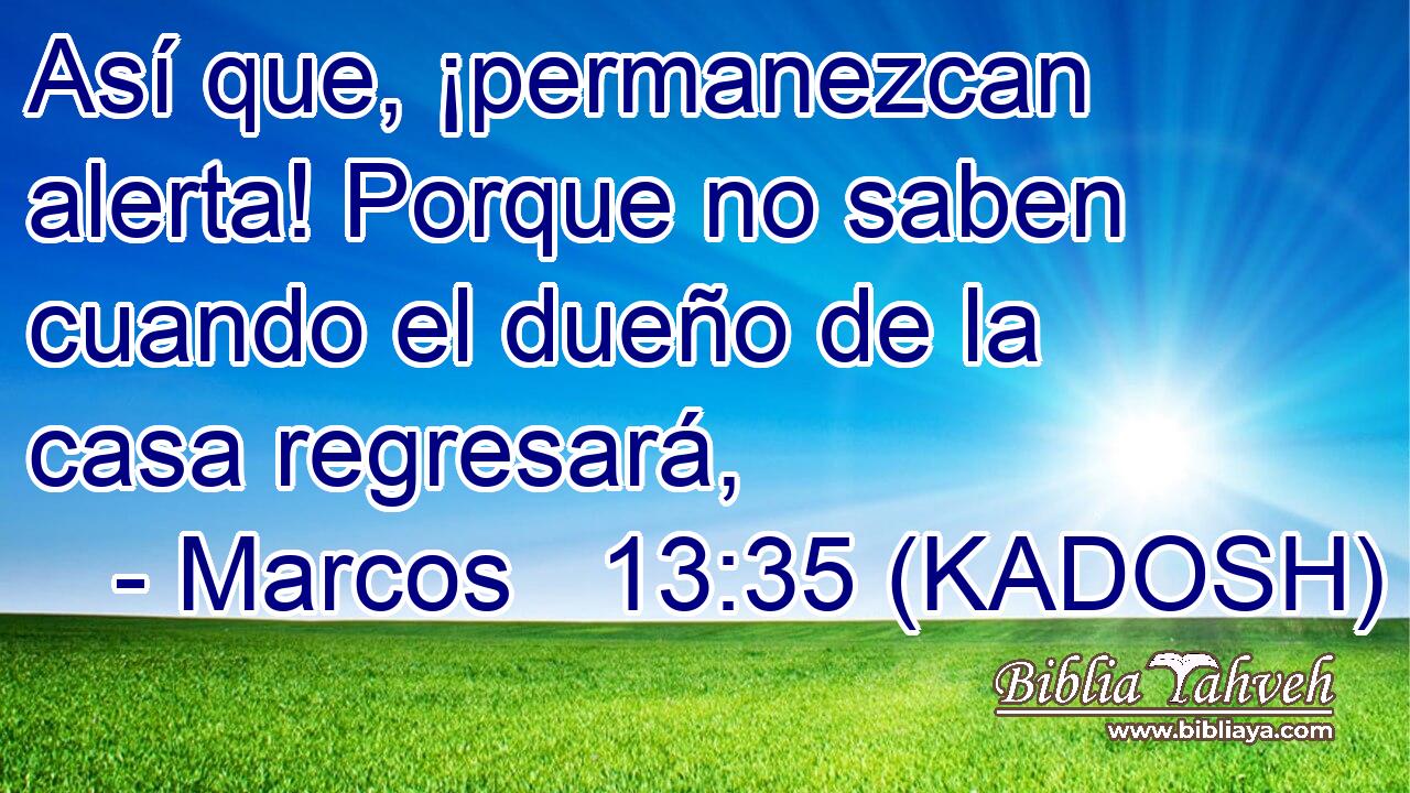  Así que, ¡permanezcan alerta! Porque no saben cuando el dueño de la casa regresará, 