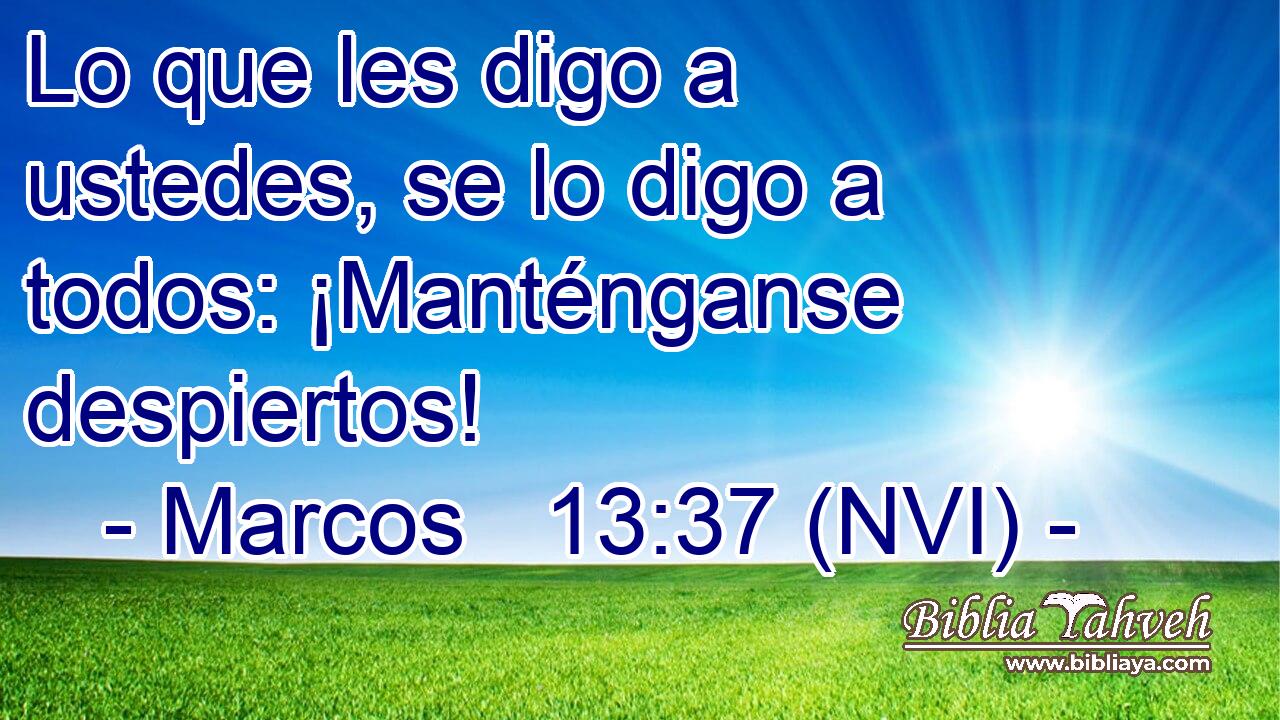  Lo que les digo a ustedes, se lo digo a todos: ¡Manténganse despiertos! 