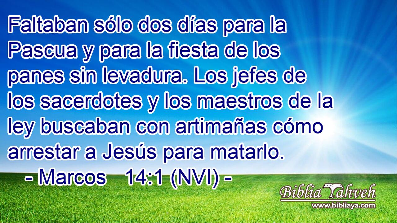  Faltaban sólo dos días para la Pascua y para la fiesta de los panes sin levadura. Los jefes de los sacerdotes y los maestros de la ley buscaban con artimañas cómo arrestar a Jesús para matarlo. 