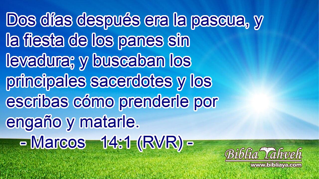 Dos días después era la pascua, y la fiesta de los panes sin levadura; y buscaban los principales sacerdotes y los escribas cómo prenderle por engaño y matarle.