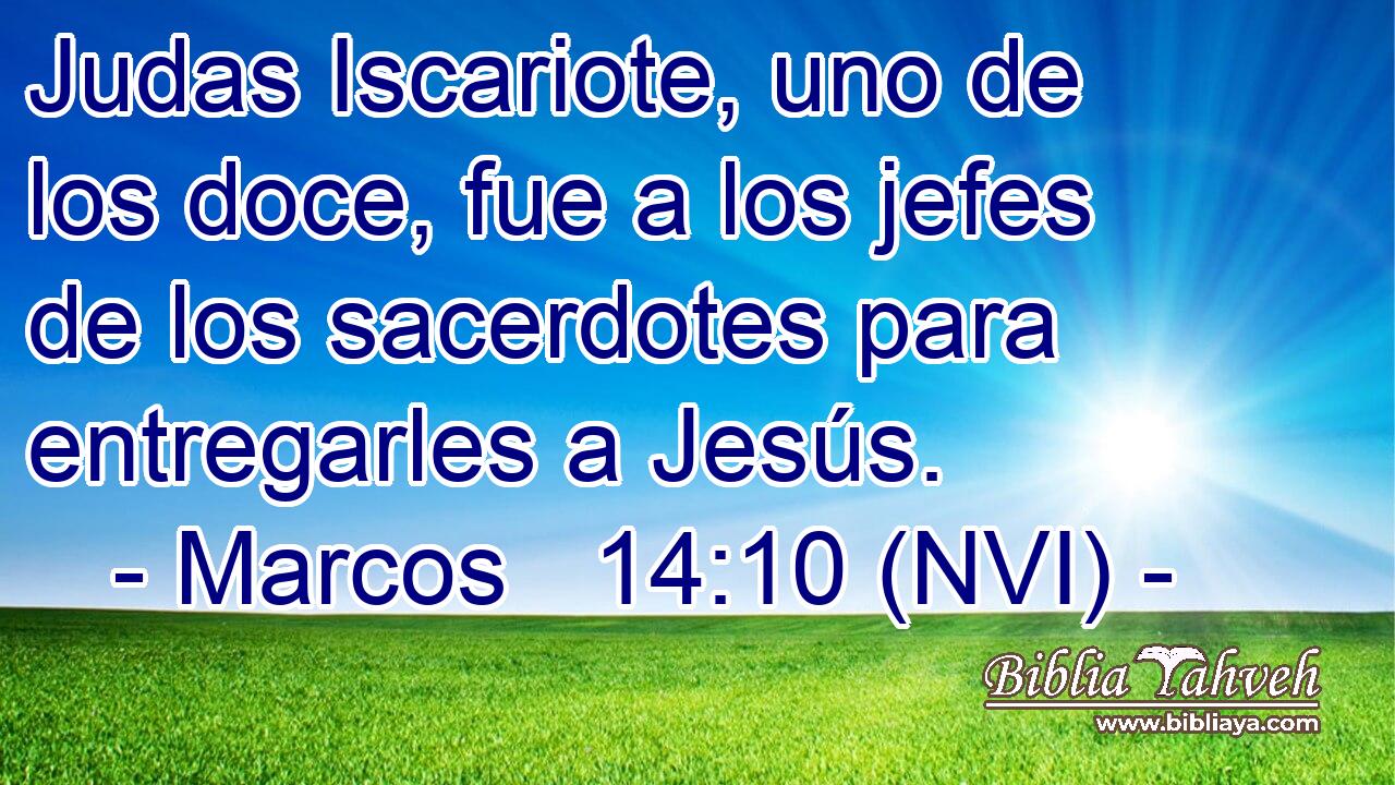  Judas Iscariote, uno de los doce, fue a los jefes de los sacerdotes para entregarles a Jesús. 