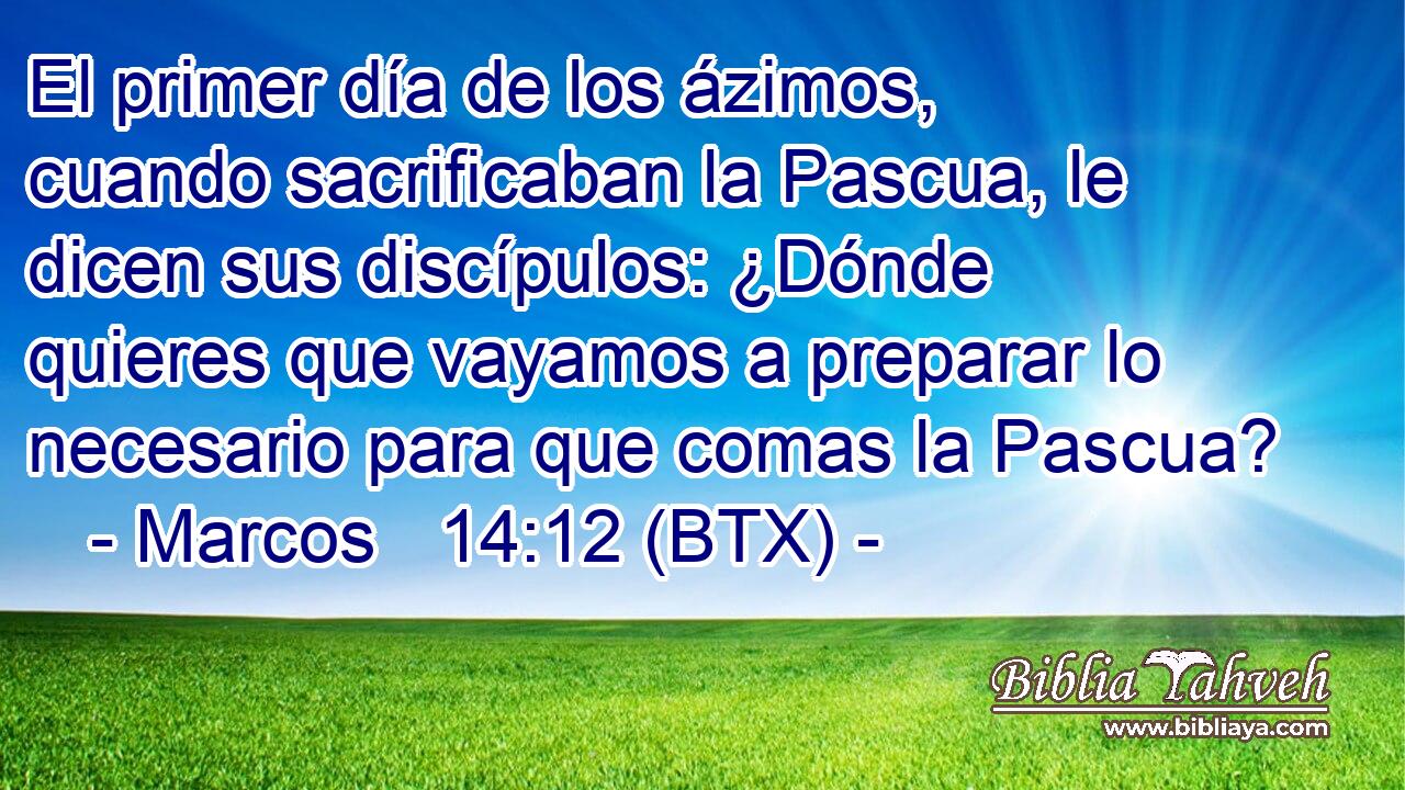 El primer día de los ázimos, cuando sacrificaban la Pascua, le dicen sus discípulos: ¿Dónde quieres que vayamos a preparar lo necesario para que comas la Pascua?