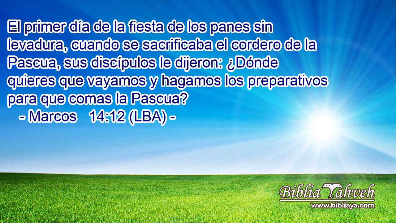 El primer día de la fiesta de los panes sin levadura, cuando se sacrificaba el cordero de la Pascua, sus discípulos le dijeron: ¿Dónde quieres que vayamos y hagamos los preparativos para que comas la Pascua?
