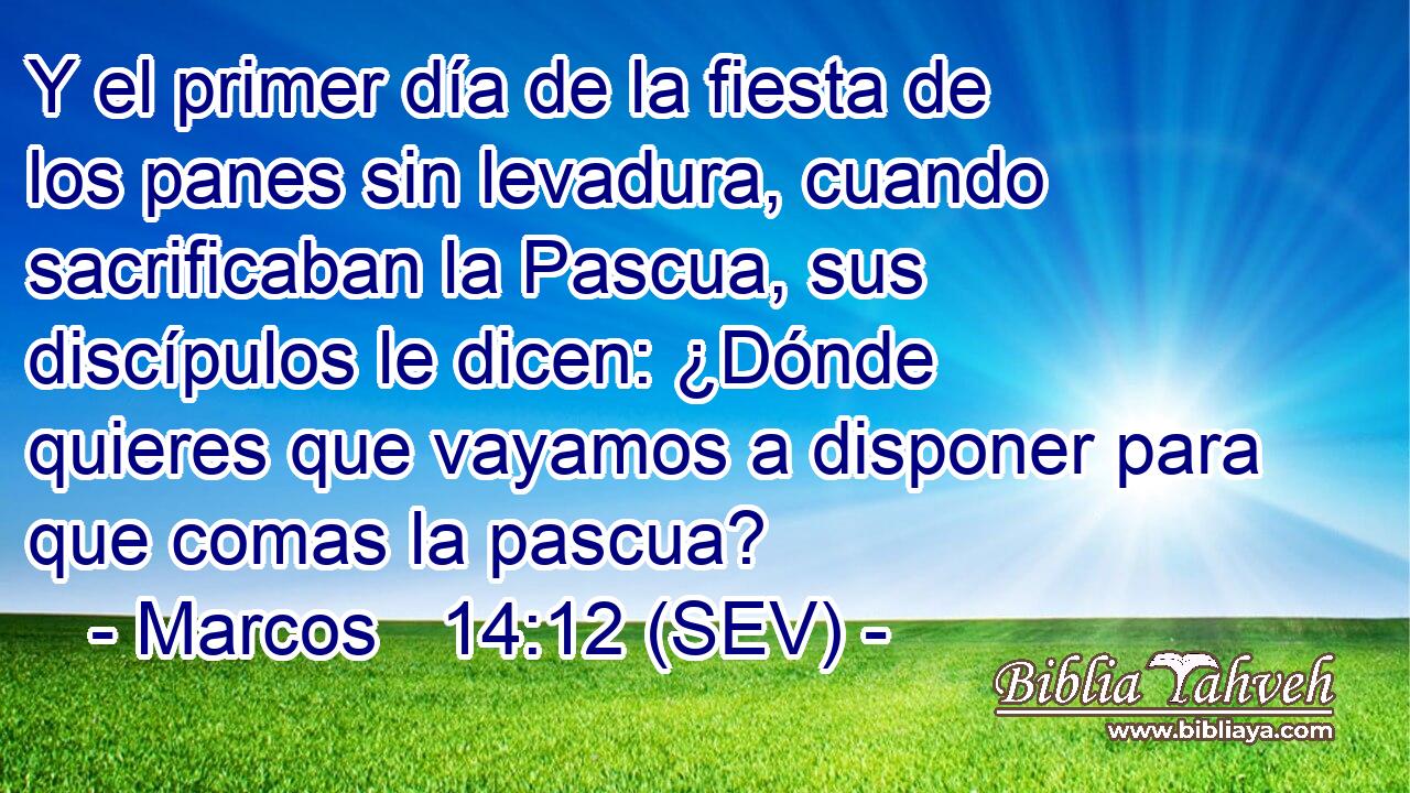 Y el primer día de la fiesta de los panes sin levadura, cuando sacrificaban la Pascua, sus discípulos le dicen: ¿Dónde quieres que vayamos a disponer para que comas la pascua?