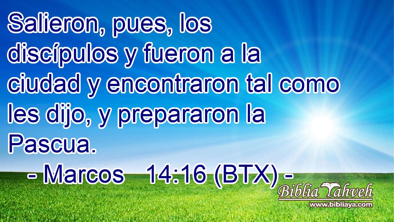 Salieron, pues, los discípulos y fueron a la ciudad y encontraron tal como les dijo, y prepararon la Pascua.