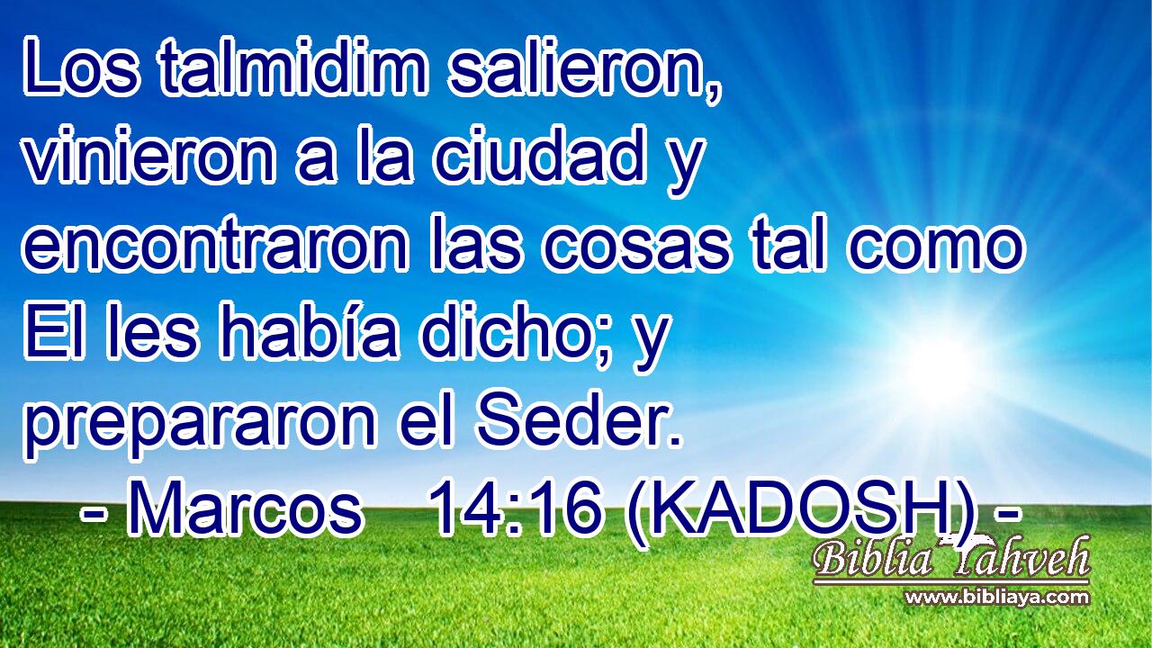 Los talmidim salieron, vinieron a la ciudad y encontraron las cosas tal como El les había dicho; y prepararon el Seder. 