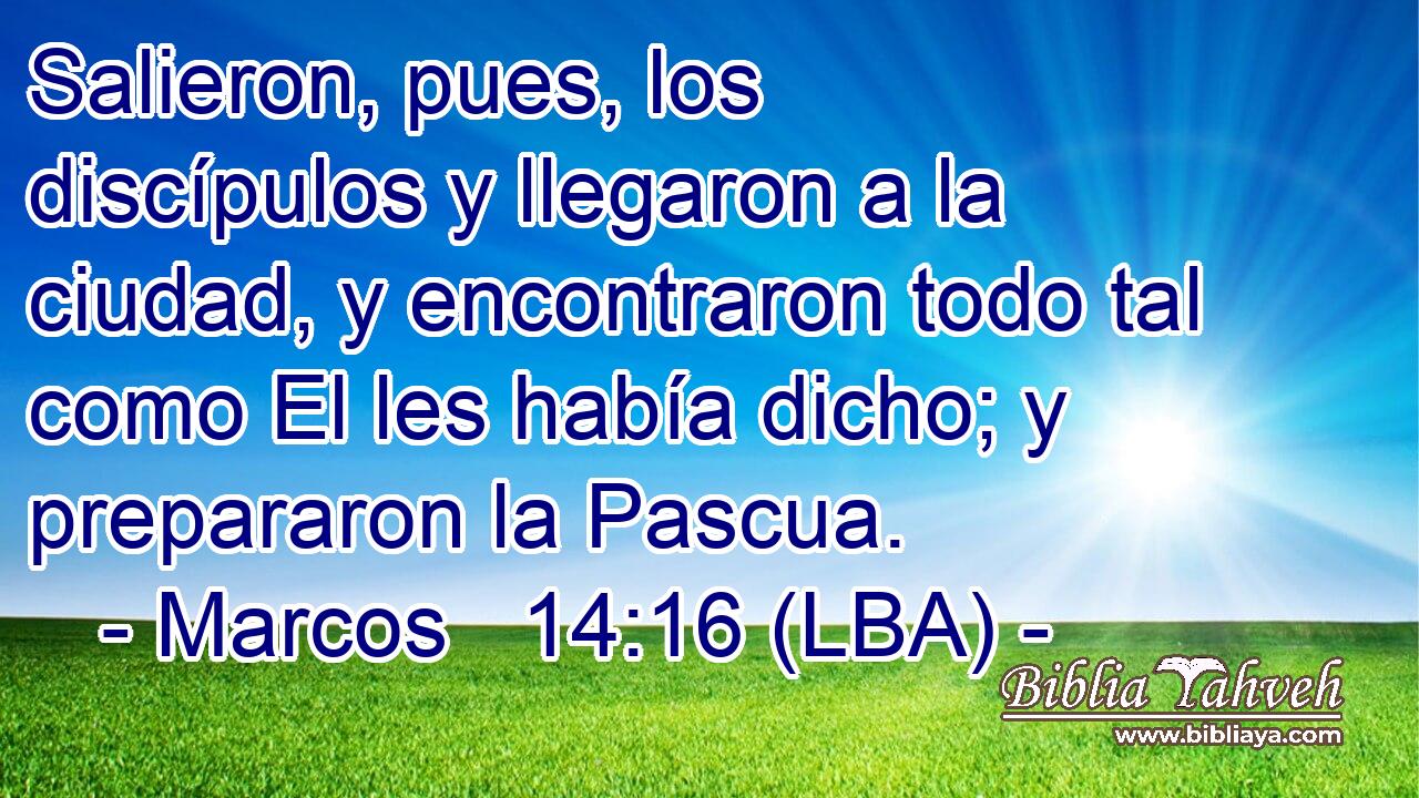 Salieron, pues, los discípulos y llegaron a la ciudad, y encontraron todo tal como El les había dicho; y prepararon la Pascua.