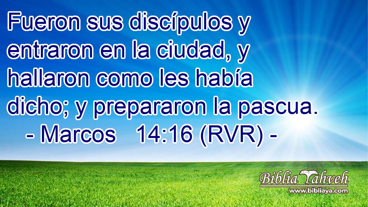 Fueron sus discípulos y entraron en la ciudad, y hallaron como les había dicho; y prepararon la pascua.