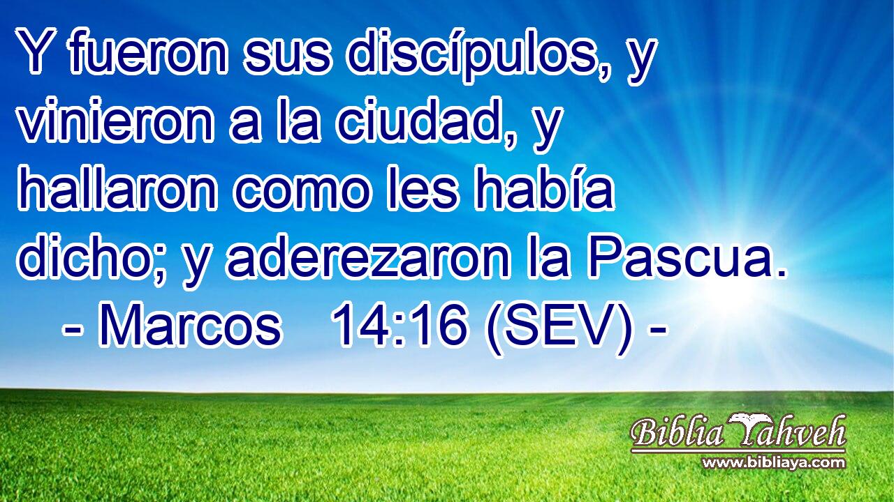 Y fueron sus discípulos, y vinieron a la ciudad, y hallaron como les había dicho; y aderezaron la Pascua.