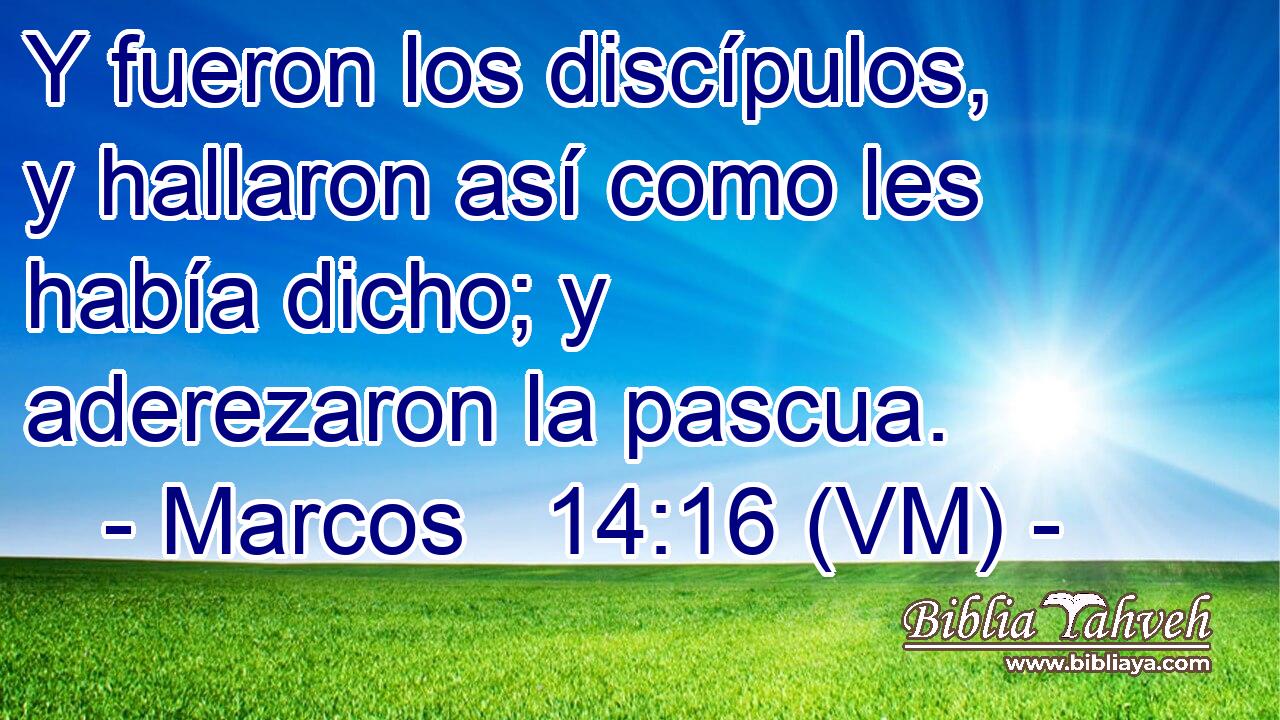  Y fueron los discípulos, y hallaron así como les había dicho; y aderezaron la pascua. 
