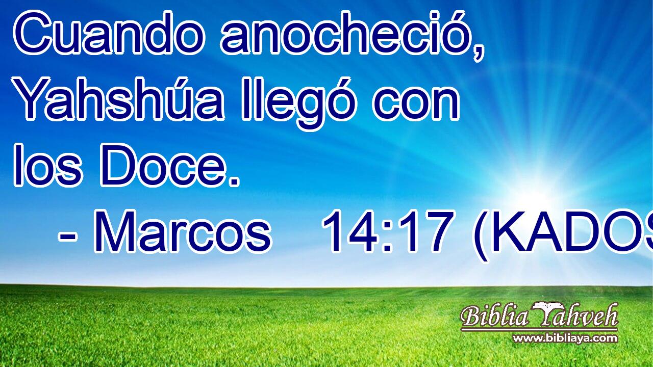  Cuando anocheció, Yahshúa llegó con los Doce. 