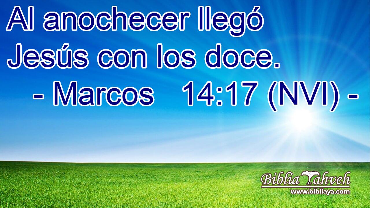  Al anochecer llegó Jesús con los doce. 