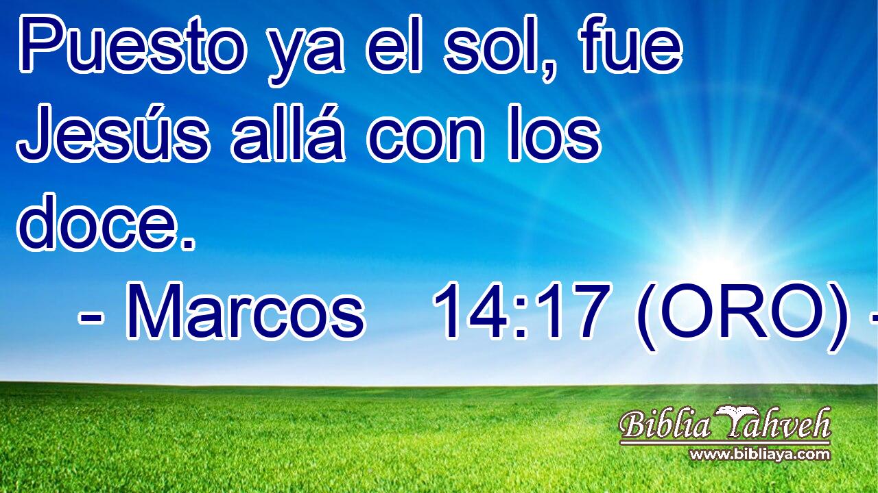  Puesto ya el sol, fue Jesús allá con los doce. 